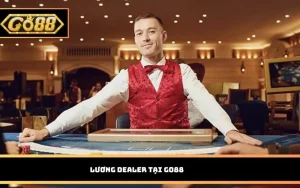 Lương Dealer
