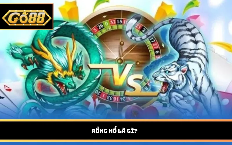Rồng Hổ là gì?