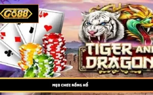 mẹo chơi Rồng Hổ